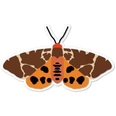 Garden Tiger Moth