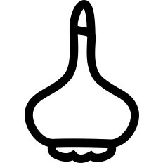 Garlic Outline