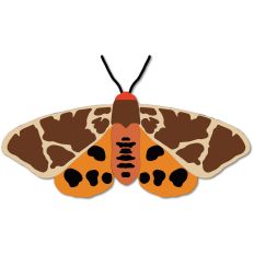 Garden Tiger Moth