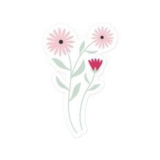 Gerber Daisy