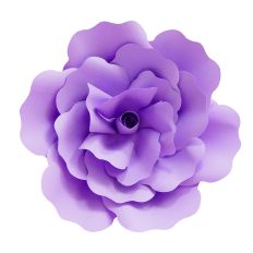 Giant Rose