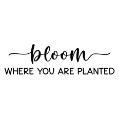 bloom where you are planted