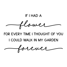 if I had a flower for every time I thought of you