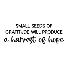 small seeds of gratitude will produce a harvest of hope