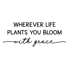 wherever life plants you bloom with grace