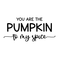 you are the pumpkin to my spice