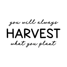 you will always harvest what you plant