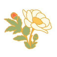 Gold-Rimmed Delicacy 8