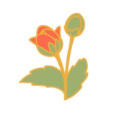 Gold-Rimmed Delicacy 9