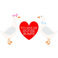 Goose Bumps Valentine