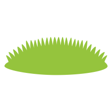 Grass