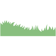 Grass
