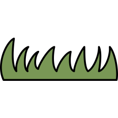 Grass