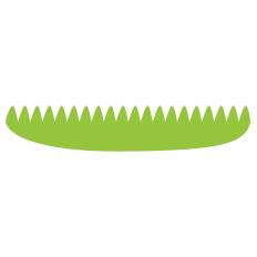 Grass