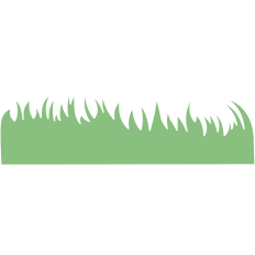 Grass
