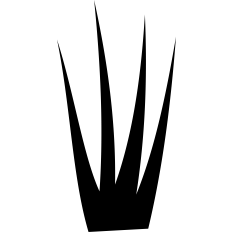 Grass Silhouette