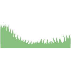 Grass