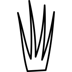Grass Outline