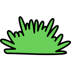Grass