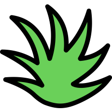 Grass