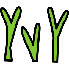 Grass