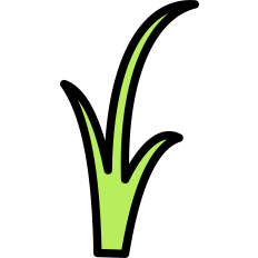 Grass