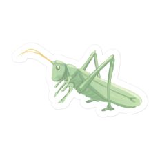 Grasshopper