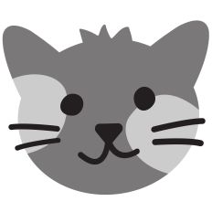 grey patch kitty cat