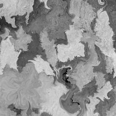 Abstract Camo Bark Pattern Background Gray Tone Colors