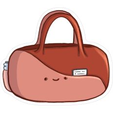 Gym bag