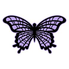 Butterfly with Spiderweb Wings