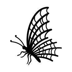 Halloween Butterfly