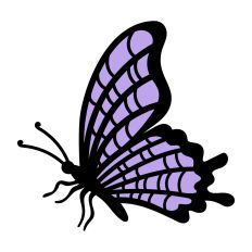 Spiderweb Butterfly