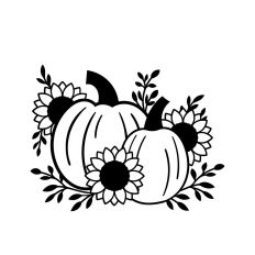 Pumpkin Patch