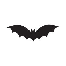 Bat