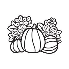 Pumpkin Patch