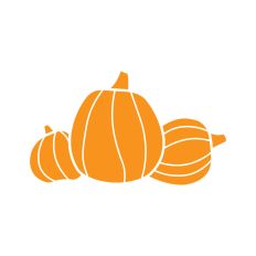 Pumpkin Patch