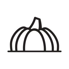 Pumpkin Border