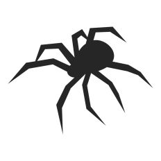 Halloween Spider