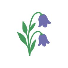 The Floral Collection - Hanging Bluebell