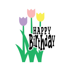 Happy Birthday Tulip Trio Spring Flowers