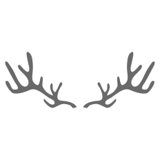 Antlers