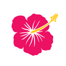 Hibiscus Flower