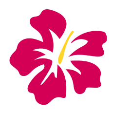 Hibiscus Flower