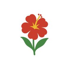 The Floral Collection - Hibiscus