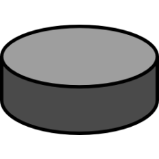 Hockey Puck