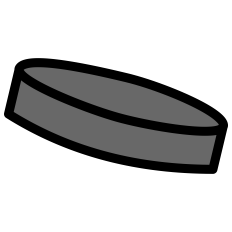 Hockey Puck