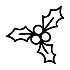 Holiday Mistletoe Design