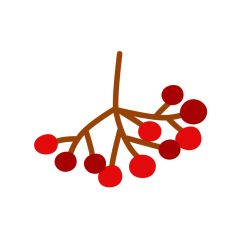 Holiday Mistletoe Design