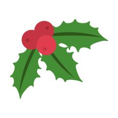 Holiday Mistletoe Design